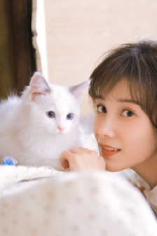 狼群视频高清在线免费看