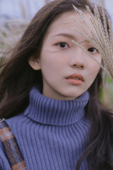 猎艳乡村